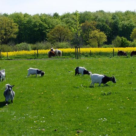 Ferienwohnungen Auf Dem Ferienhof Sell Stoltebüll Exterior foto